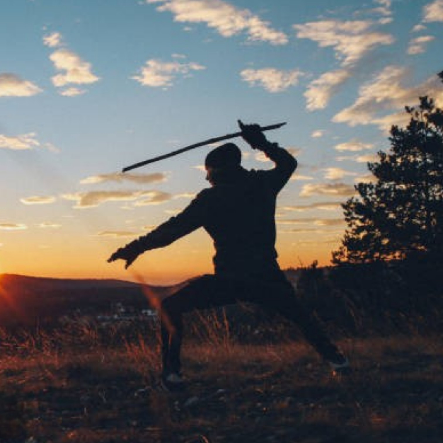 Il Viaggio di Disciplina del Samurai — 武者修行 (Musha Shugyo)