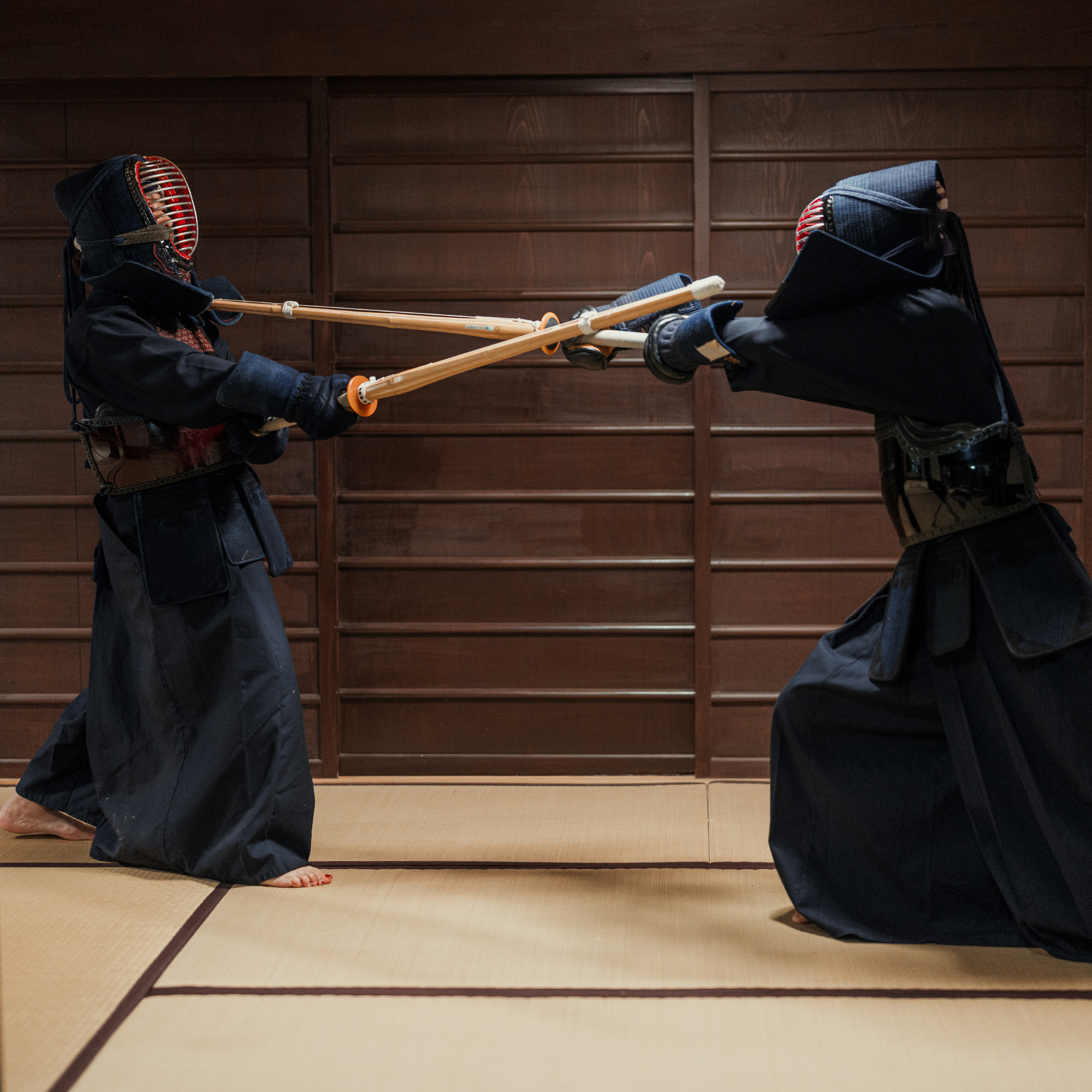 Il viaggio di disciplina di Samurai - 武者修行 (Musha Shugyo)