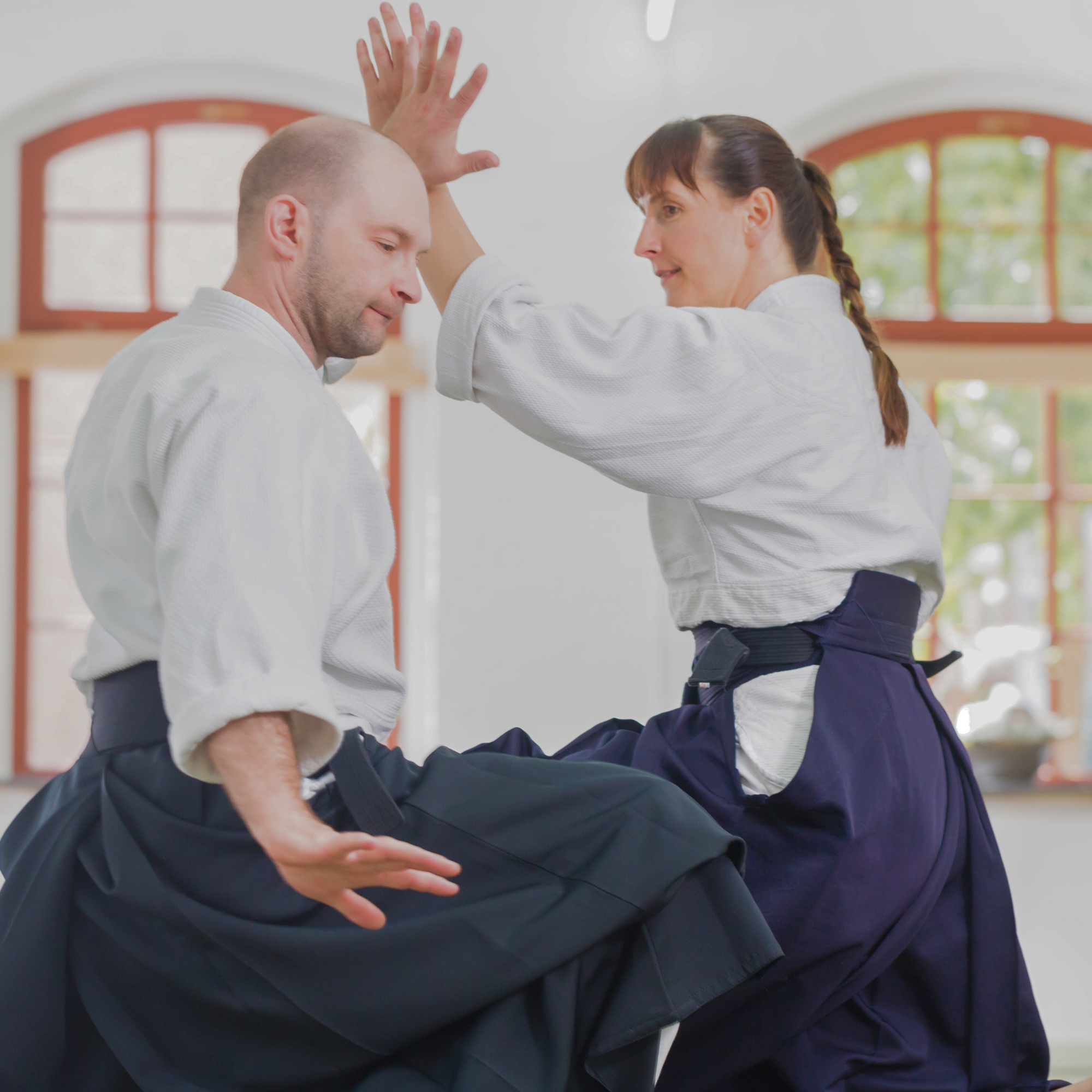 Spirito, Tecnica e Forza Fisica — 心技体 (Shin-Gi-Tai)