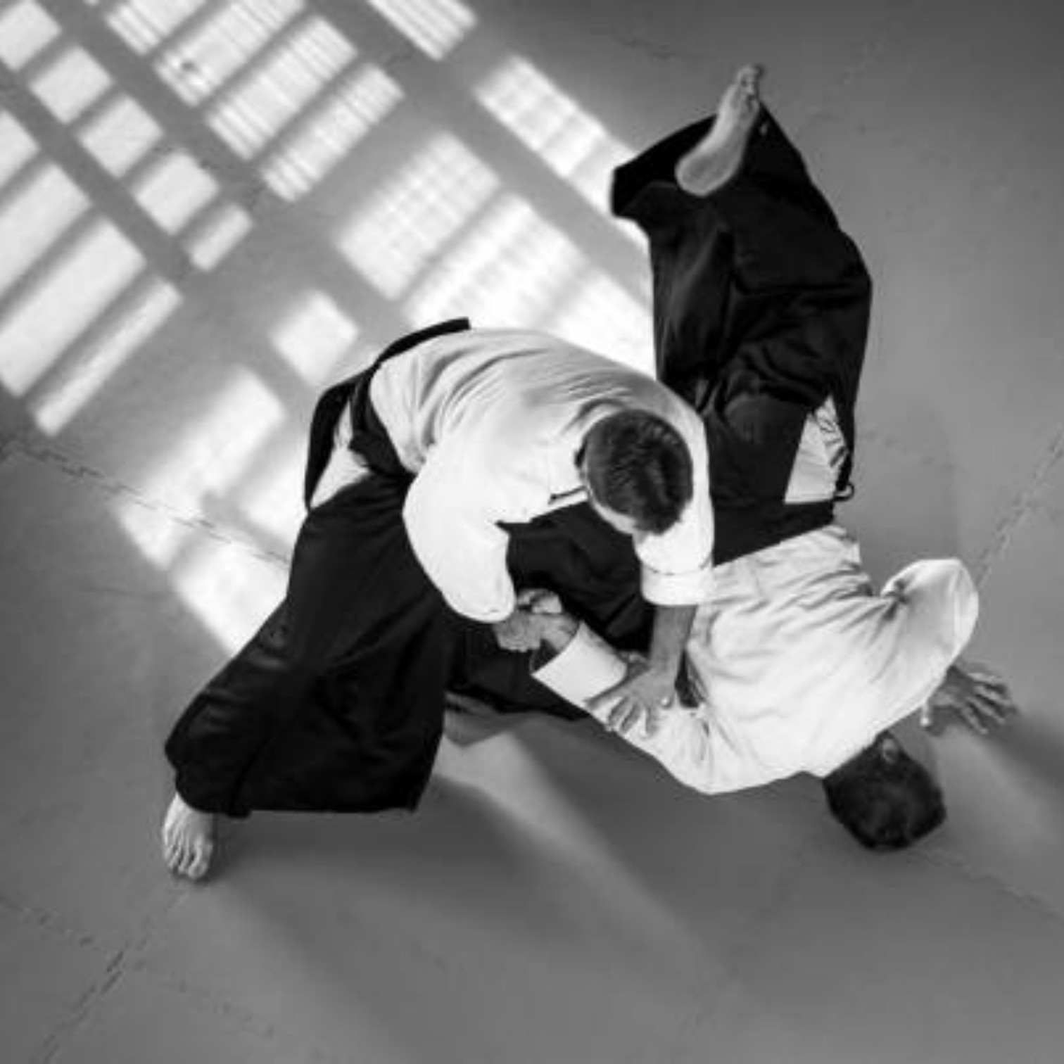 Lo Spirito dell'Aikido — 合気道 (Aikido) di Yuka 