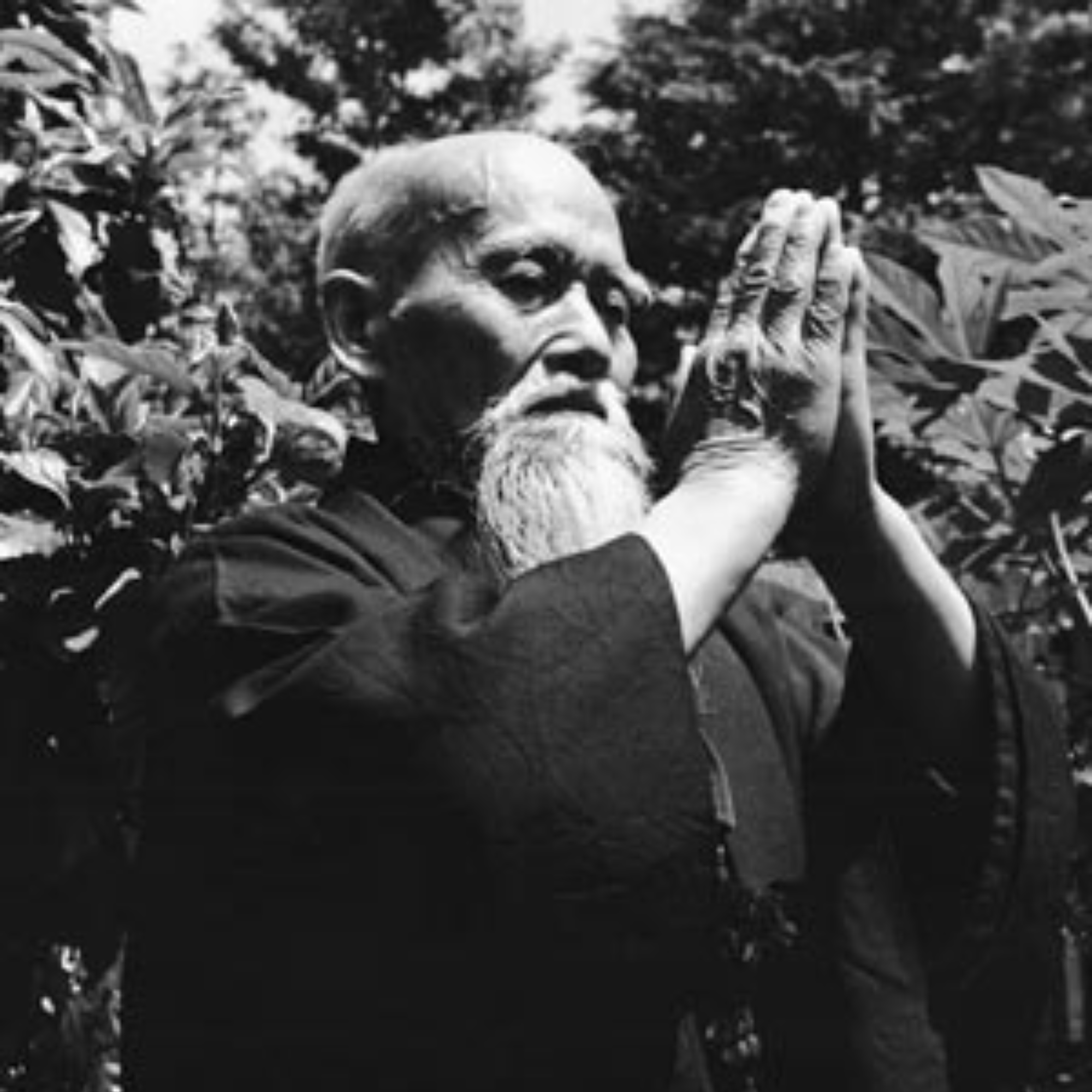 Lo Spirito dell'Aikido — 合気道 (Aikido) di Yuka 